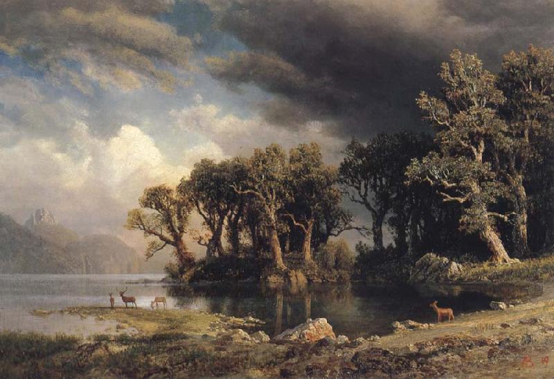 Albert Bierstadt The Coming Storm Norge oil painting art